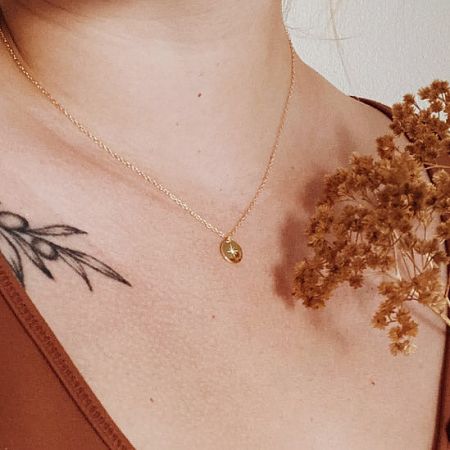 A clear, detailed shot of the gold North Star pendant necklace.