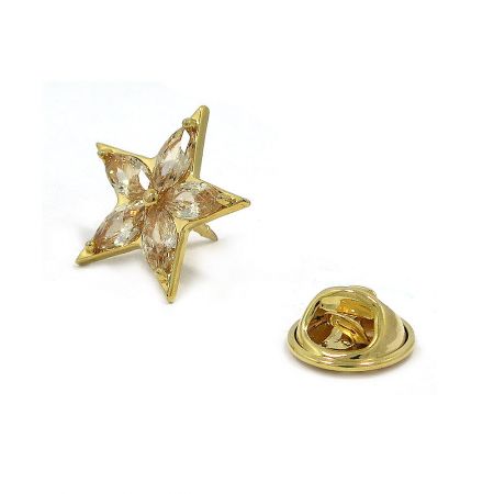 The reverse side of the Champ Star Pin, showing the durable roller pin catch closure mechanism.