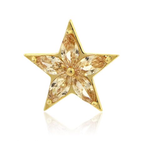 Gold champion star pin with intricate floral design details.