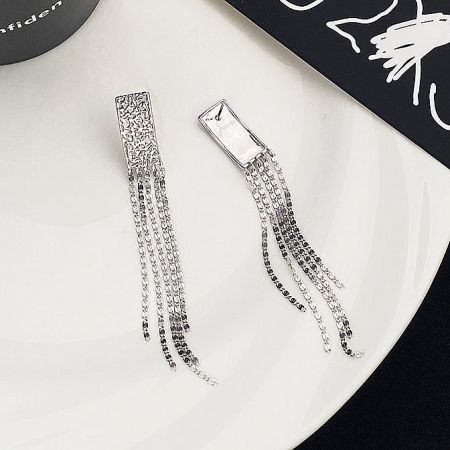 A pair of silver chain tassel earrings presented against a neutral background.