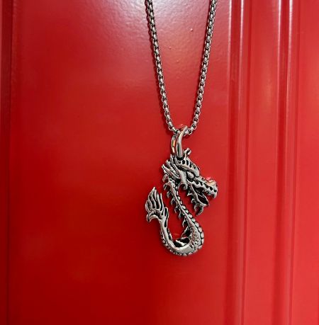 The stainless steel dragon pendant necklace shown on a white background.