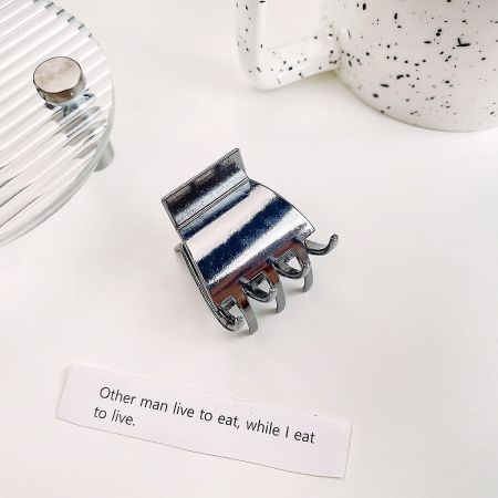 Clean product image of a durable silver metal hair clamp clip.