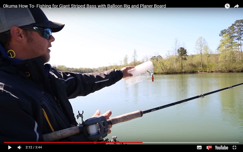 Fishing for Giant Striped Bass with Balloon Rig and Planer Board