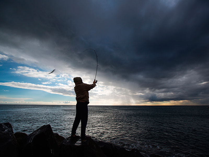 baitcast reel, Okuma Fishing Tackle Inspired Fishing