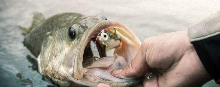 アクセサリー - アクセサリー