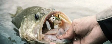 アクセサリー - アクセサリー