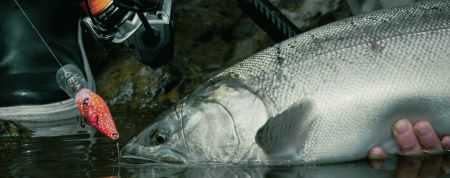 ツール - ツール