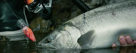 ツール - ツール