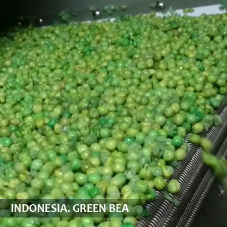 豆類油炸烘焙(印尼案例) - 豆類油炸烘焙