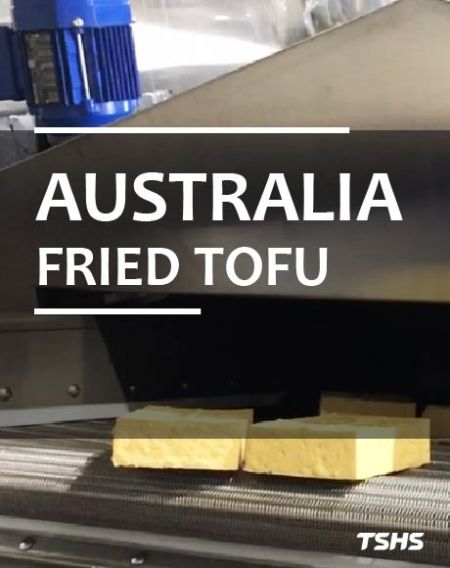 豆類油炸加工-連續式油炸機(澳洲案例) - 澳洲豆腐油炸
