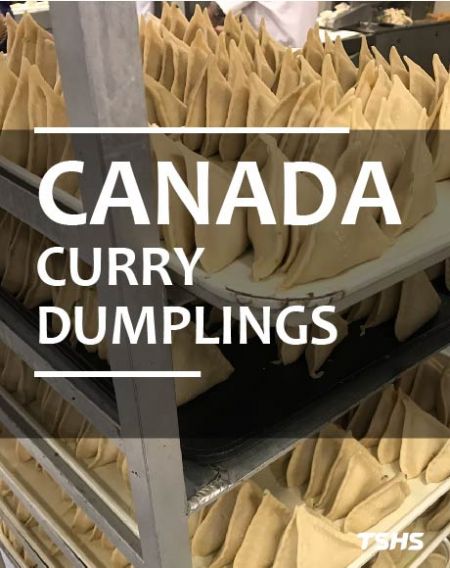 Fried Dumpling Continuous Conveyor Fryer (Canada)