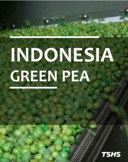 焼き豆生産ライン（インドネシア） - 豆のフライベイク