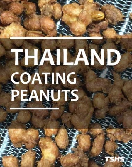 Machine de torréfaction par lots pour le traitement des noix enrobées (Thaïlande) - Traitement des noix enrobées en Thaïlande