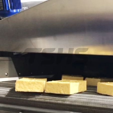 Fried Tofu Machine- Continuous belt Fryer (Australia)