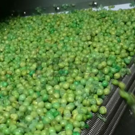 豆類油炸烘焙(印尼案例) - 豆類油炸烘焙