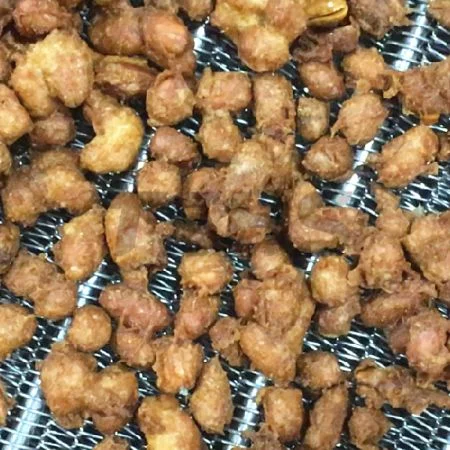 Macchine torrefattrici a lotti per la lavorazione di noci ricoperte (Thailandia) - Lavorazione di noci ricoperte in Thailandia