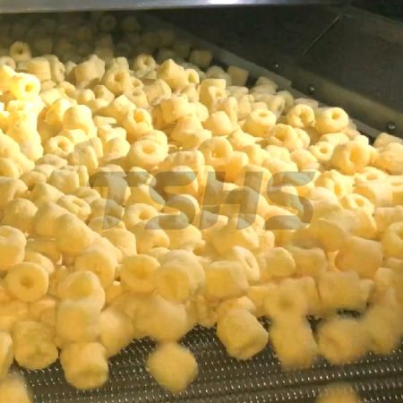 Roasted Puffed Food Production line-CIP cleaning system (Thailand)