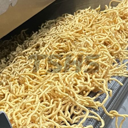 Pag-upgrade ng Linya ng Pagprito ng Fish Murukku para sa Indian Snack Foods｜FRYIN-402 Nagpapabuti ng Kakayahan at Operasyonal na Katatagan (Malaysia) - Pag-upgrade ng Linya ng Pagprito ng Malaysian Indian Snack Food Fish Murukku｜FRYIN-402