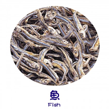 Finish Products – Fish