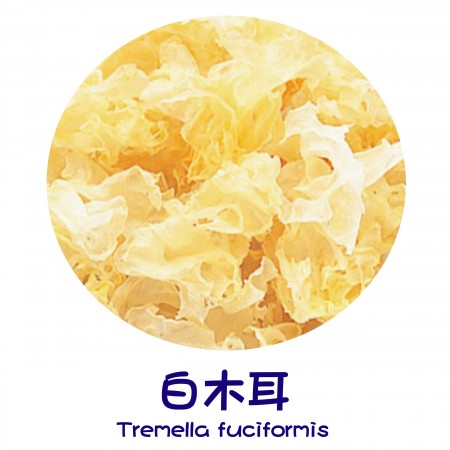 Finish Products – Tremella Fuciformis