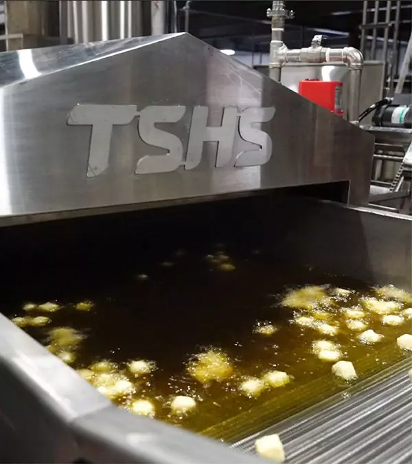 Continuous Conveyor Fryer