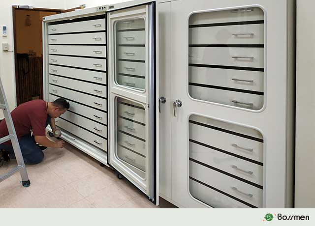 Bossmen Dual-Door Drawer Dehumidifying Cabinet – Precision Humidity Control by ...