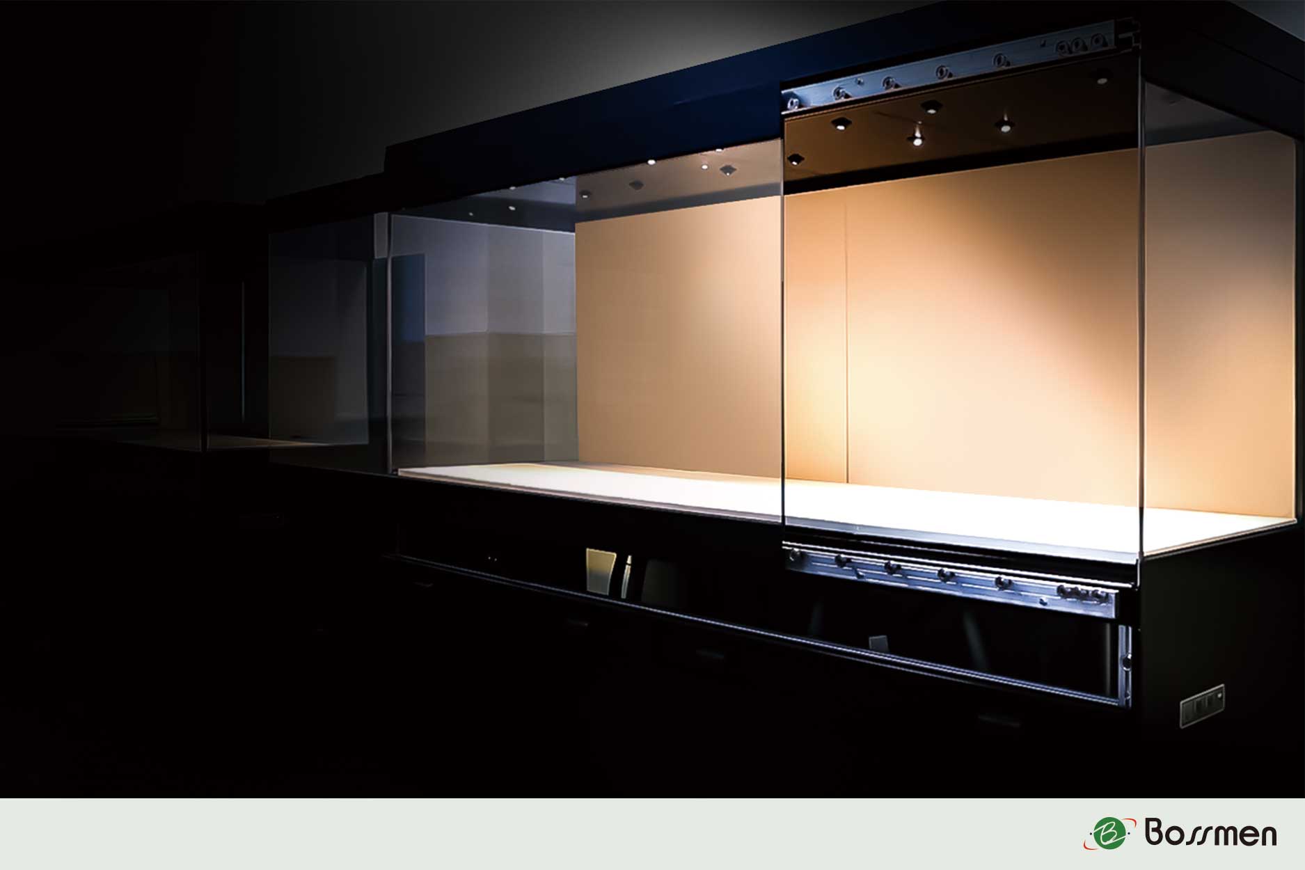 Bossmen Electric Front-Opening Sliding Display Case – Precision Humidity ...