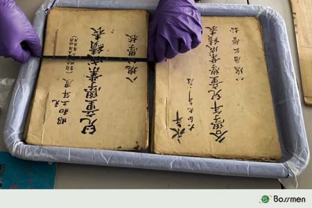 Case 3: CHS-3 Yangmei Elementary School Artifact Measurement Records.