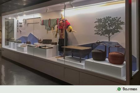 Case 1: Zuo Zhen Natural History Display Cabinet.