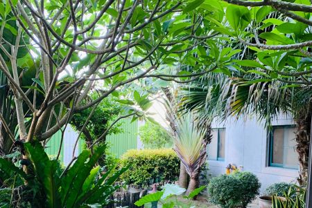 Bossmen company environment 1st floor garden landscaping.