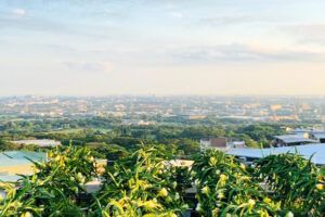 The top floor of Bossmen company environment overlooks the beautiful view.