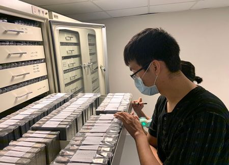 Sammlung und Erhaltung von Artefakten.