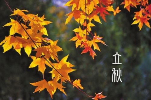 Firstohm Newsletter - Autumn 2021