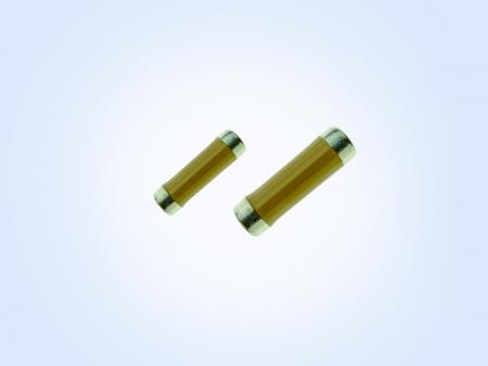 Resistor de Slug com Revestimento Central (0,16W 1ohm 5%) - Slug Resistor Center Coated 0.16W 1ohm 5%