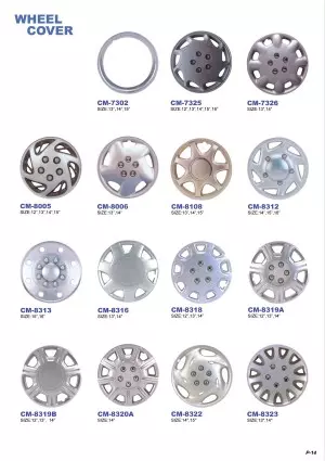 Plastic Chrome Plated Auto Accessories E-Catalog