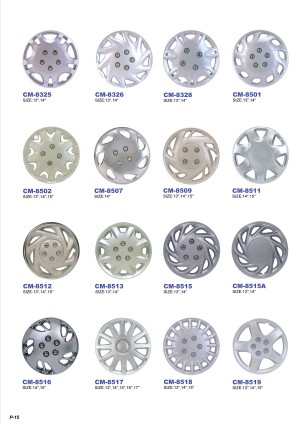 Plastic Chrome Plated Auto Accessories E-Catalog