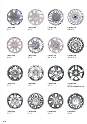 Plastic Chrome Plated Auto Accessories E-Catalog