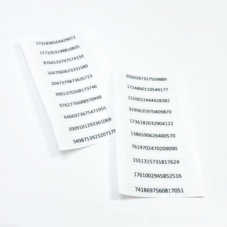 Numeric Randomized Serial Number