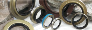 Oil Seal - Custom Oil Seal manufacturing