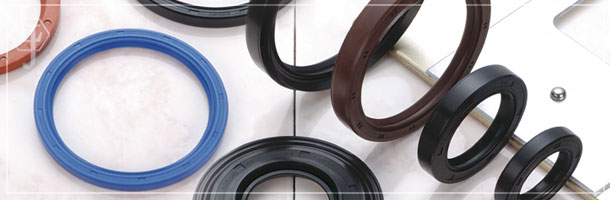 Custom Oil Seal manufacturing