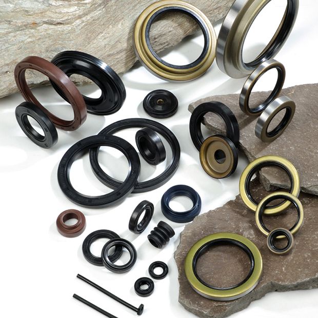 Oil Seal