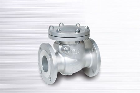 Flanged End Casting Check Valve - Flanged End Casting Check Valve KC-150