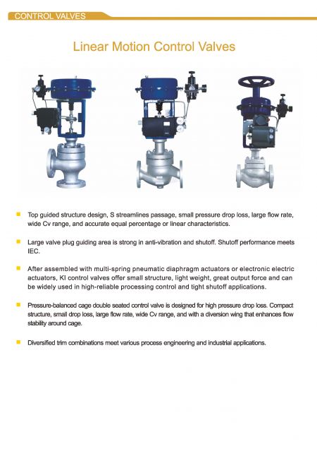 Detail1 of Single Seated Control Valves