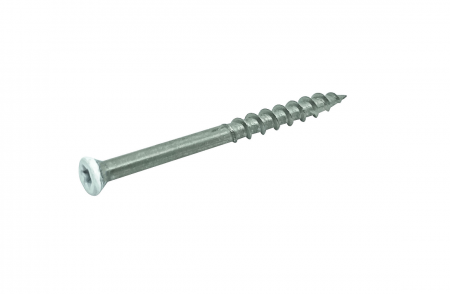 Stainless Steel Screw Painted head