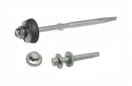 Stainless Steel Capped Screw - Stainless Steel Capped Screw