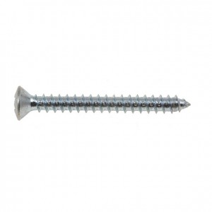 Oval Head Self Tapping Screw
