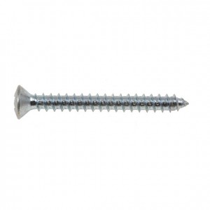 Oval Head Self Tapping Screw - Oval head self tapping screw