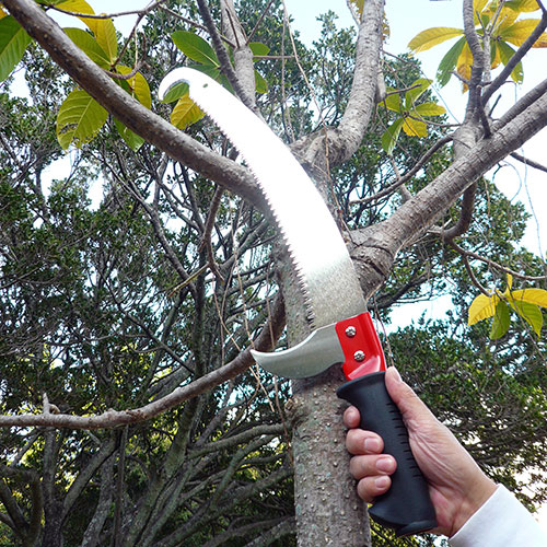 High Tree Pruning Pole Saw