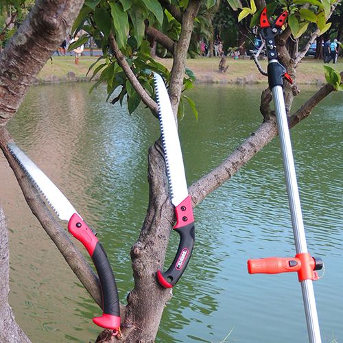 Cutting Tools for Pruning