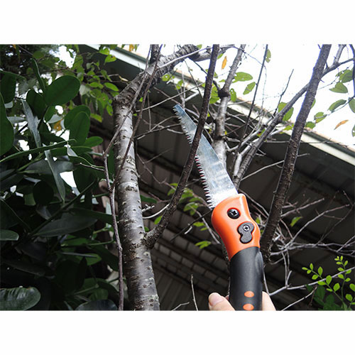 Sierra plegable de poda de árboles de 7 pulgadas (180 mm), Sierras de mano  premium para trabajos de carpintería de precisión - Gama experta de Soteck  de Soteck